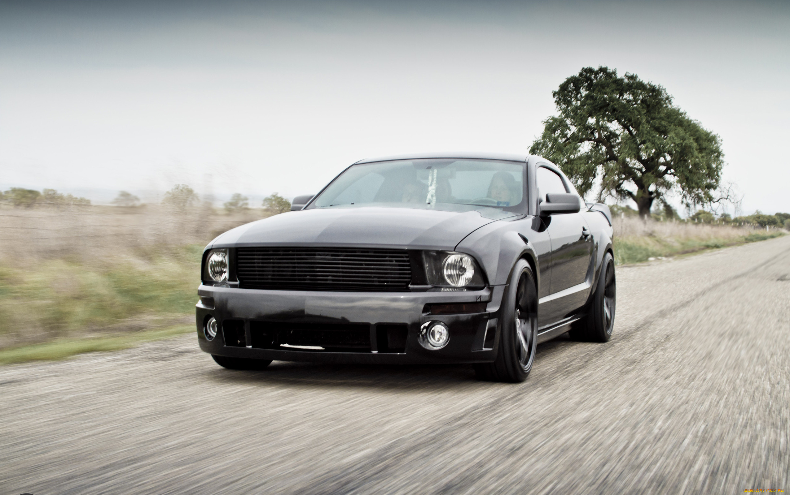 , mustang, tuning, black